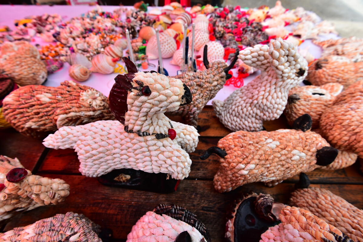 海島村貝殼工藝品的設計與創作之道