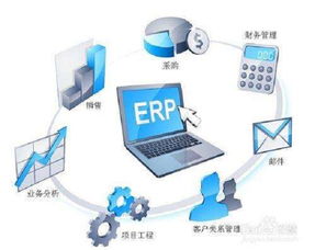 ERP軟件開發的利與弊 深度剖析